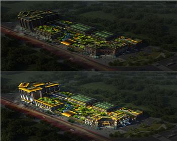 內(nèi)蒙古景觀燈涇陽項目