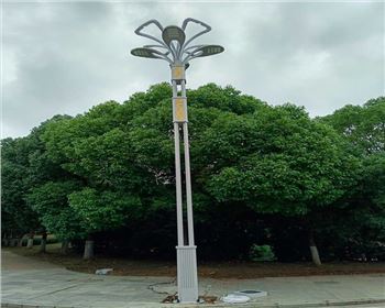 湖北武漢市政景觀路燈項目